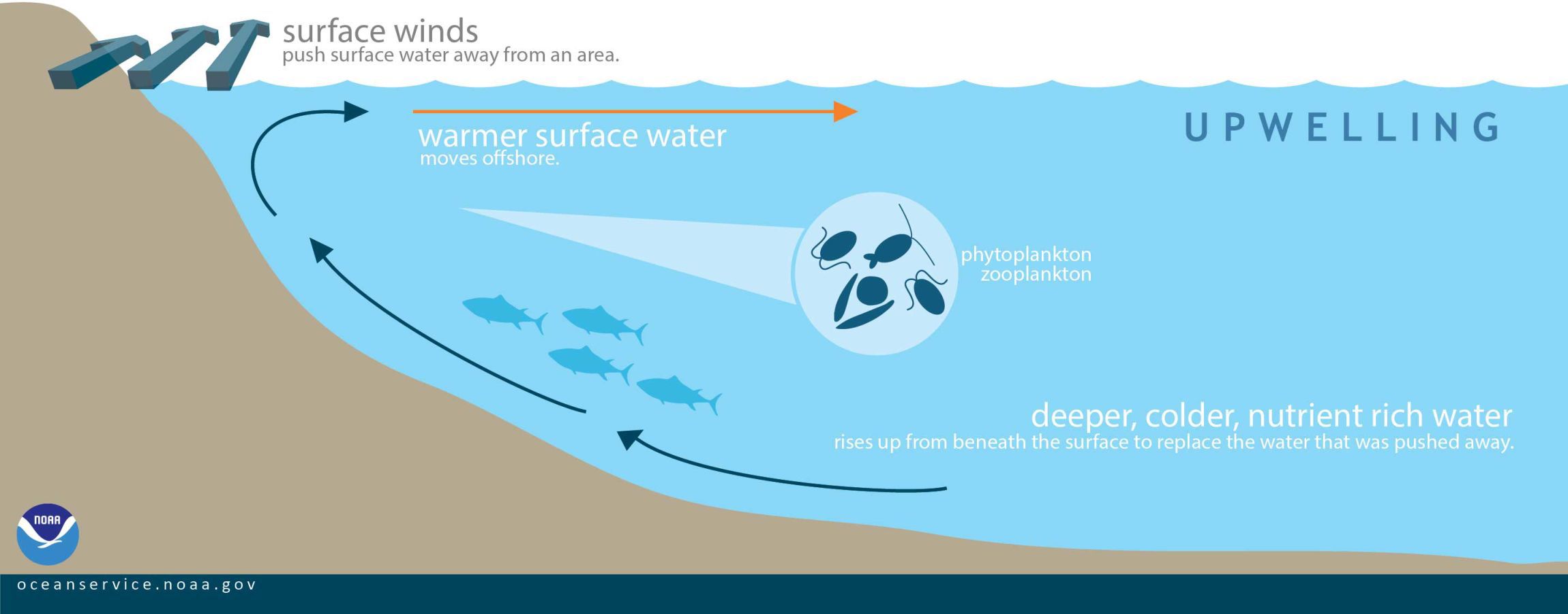How upwelling occurs
